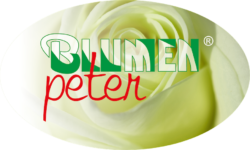 Blumen Peter